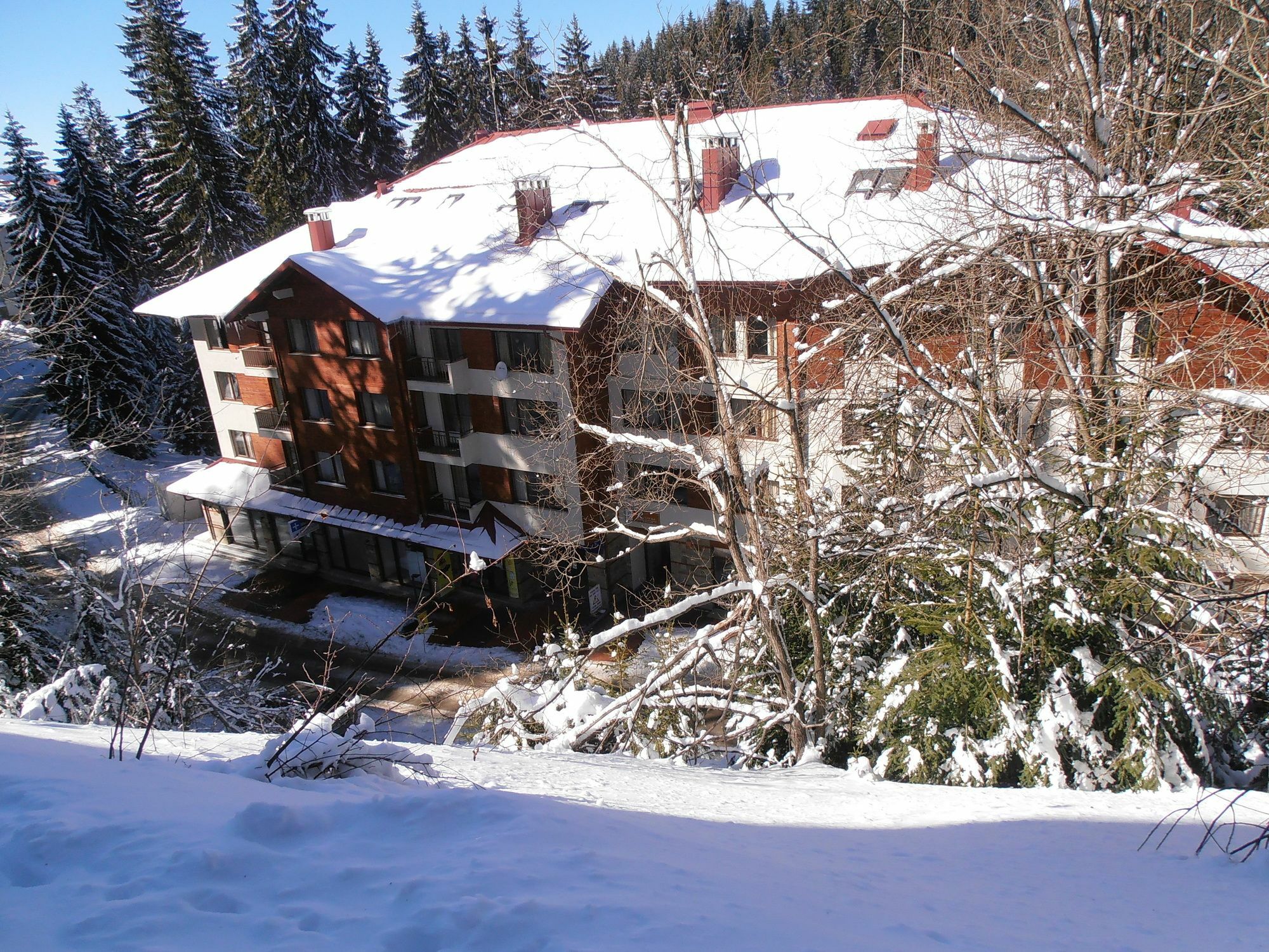 Royal House Apartments Tmf Pamporovo Exteriör bild