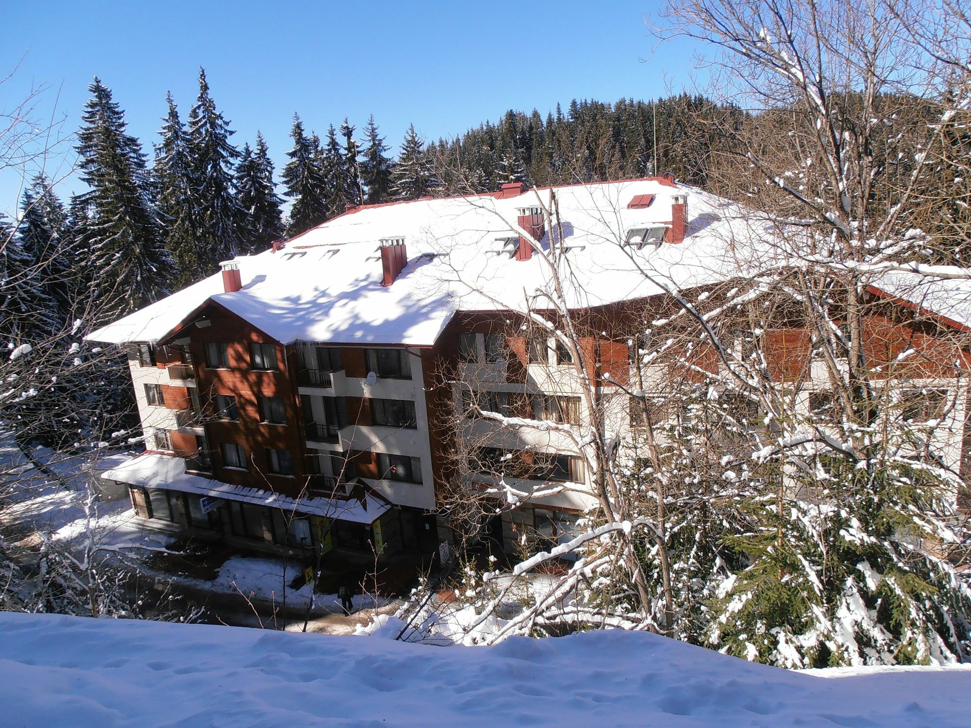 Royal House Apartments Tmf Pamporovo Exteriör bild